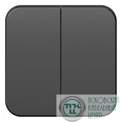 Выключатель 2-кл. ОП Blanca 10А IP20 (сх. 5) 250В с изолир. пластиной антрацит SE BLNVA105016