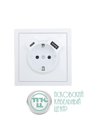 Розетка 1-мест. с/з Type-C+USB разъем СП ZIMA бел. LEZARD 704-0288-181TC