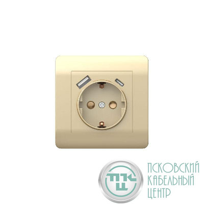 Розетка NEW3-E 16А с заземл. защ. шторки с 2-мя заряд. устройствами USB A+C 5В/2.1А шампань CHINT 431453