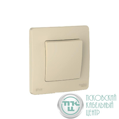Переключатель 1-кл. СП Blanca 10А IP44 (сх.6) 250В беж. SE BLNVS410607