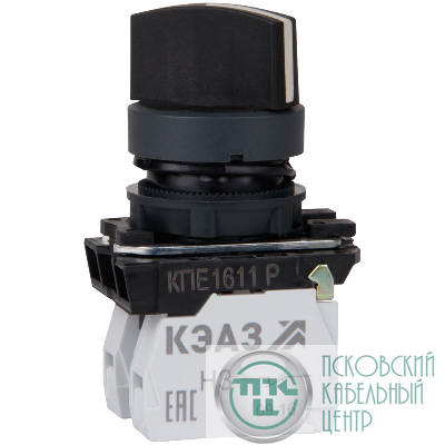 Переключатель КПЕ1611Р 1но+1нз ручка фикс 2поз IP65 черн. КЭАЗ 248268