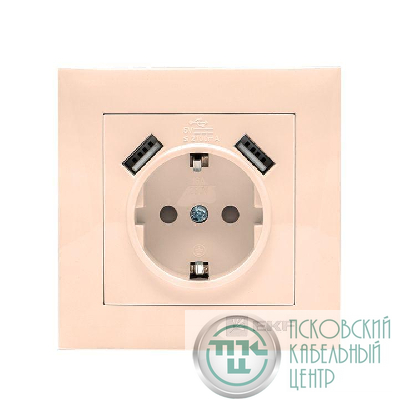 Розетка 1-м СП Валенсия 16А IP20 с заземл. защ. шторки с 2-мя заряд. устройствами USB 2.1А крем. PROxima EKF EWR16-028-20-2USB
