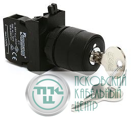 Кнопка с ключом 2-0-1 с фиксацией ключ выним. во всех полож. (2НО) (CP) EMAS CP101AC30
