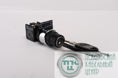 Кнопка нажимная KB с ключом диаметр 22мм 1НО+1НЗ EMAS KB14A2