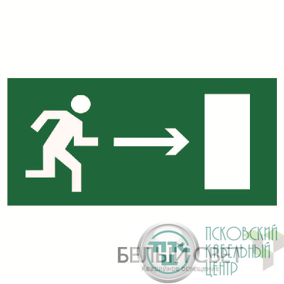 Пластина BL-2010B.E03 "Напр. к эвакуационному выходу направо" Белый свет a15027