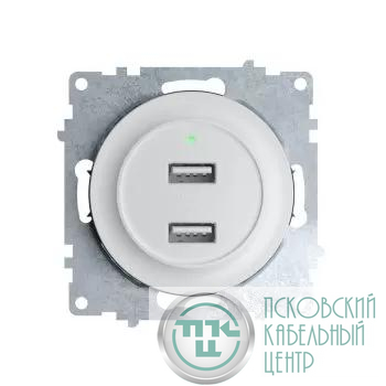 Розетка USB 2-м СП Florence 16А IP20 с подсветкой механизм бел. (1E10351300) OneKeyElectro 2260089