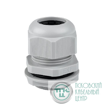 Сальник PG21 IP54 d отв. 27мм/d провод. 13-18мм PROxima EKF plc-pg-21-r