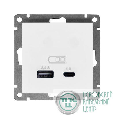 Розетка 2-м USB СП Афина 5В тип А(2.4А)+С(4А) механизм бел. Universal А0059