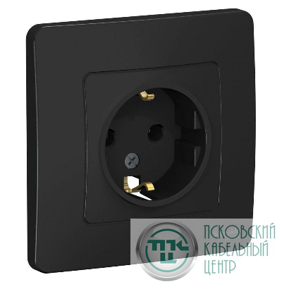 Розетка 1-м СП Blanca 16А IP20 250В с заземл. без защ. шторок антрацит SE BLNRS001016