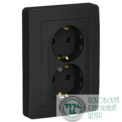 Розетка 2-м СП Blanca 16А IP20 250В с заземл. без защ. шторок антрацит SE BLNRS001026