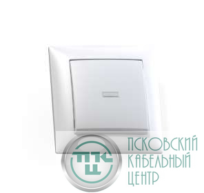 Выключатель 1-кл. СП Селена 10А IP20 С110-395 с индикацией бел. Кунцево 8102