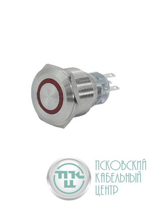Выключатель кнопочный GQ22-L-11E/R/220V/S 1НО+1НЗ цилиндр с подсветкой 220В AC/DC d22мм IP65 метал. красн. Электротехник ET020094