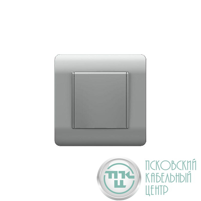 Розетка NEW3-E 16А IP44 с заземл. защ. шторки с крышкой серебр. CHINT 431449