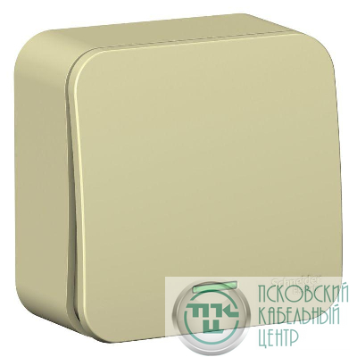 Выключатель 1-кл. ОП Blanca 10А IP20 (сх. 1) 250В с подсветкой с изолир. пластиной беж. SE BLNVA101117
