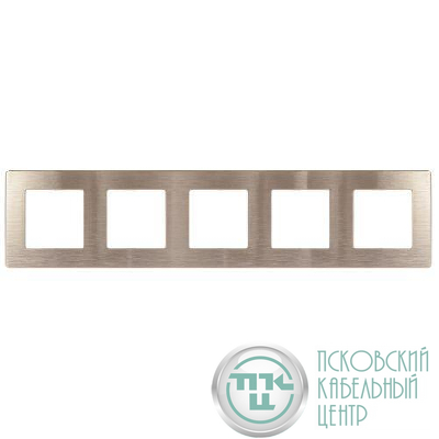 Рамка 5-м 12-5105-04 сатин шампань Эра Б0052542