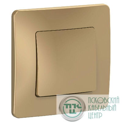 Выключатель 1-кл. СП Blanca 10А IP20 (сх. 1) 250В титан SE BLNVS010104