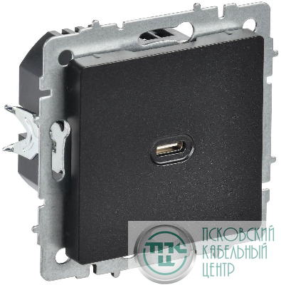 Розетка СП BRITE USB C 65Вт высокоскор. заряд. РЮ12-1-БрЧ черн. IEK BR-U13-065-K02