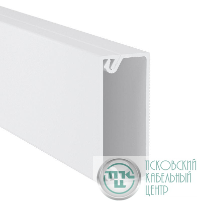Кабель-канал 40х17 L2000 пластик TMC DKC 00351