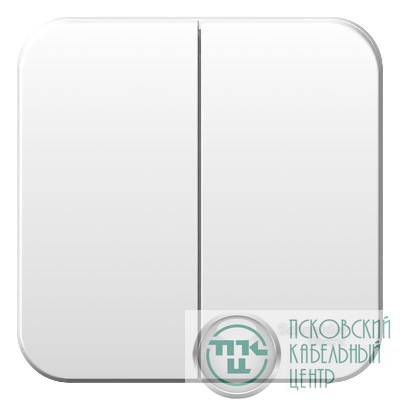 Выключатель 2-кл. ОП Blanca 6А IP20 (сх. 5) 250В с металлич. пластиной бел. SE BLNVA065021