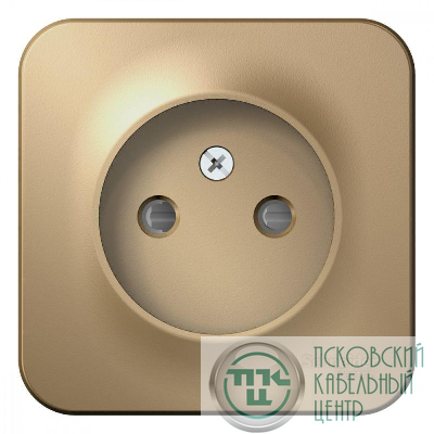 Розетка 1-м ОП Blanca 16А IP20 250В без заземл. защ. шторки с изолир. пластиной титан SE BLNRA001114