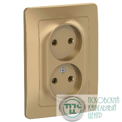 Розетка 2-м СП Blanca 16А IP20 250В без заземл. без защ. шторок титан SE BLNRS000024